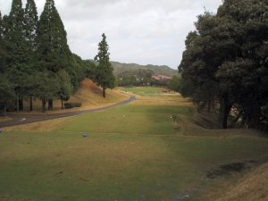 20091114