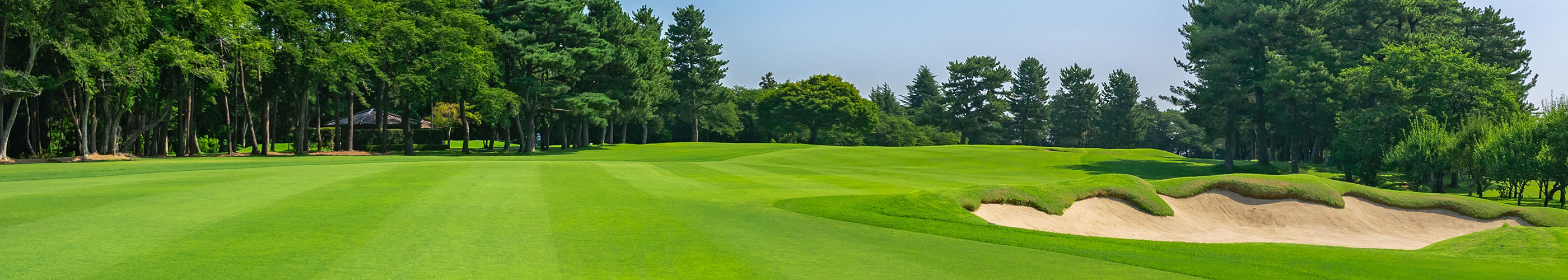 お客様からのレポート