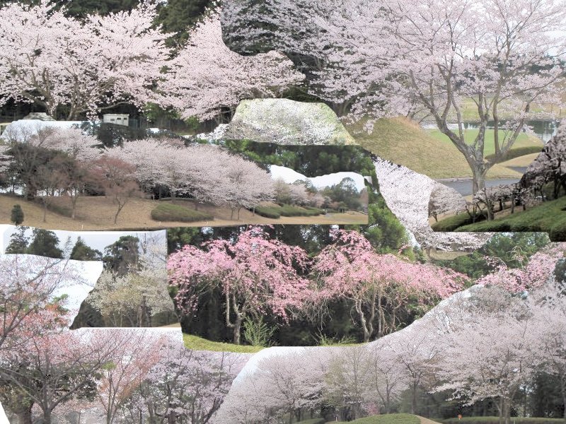 加賀屋懇親会（京カントリークラブ　千葉県）