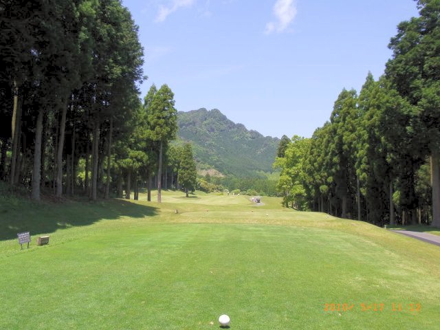 樹木に囲まれている