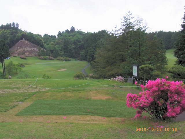 つつじが咲き残っていた