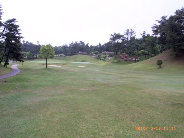 雨上がりで水が残っていた