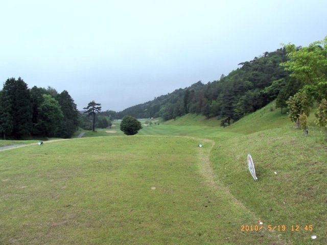 芝は生え揃っていない