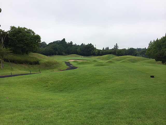 20140726｜京ＣＣ