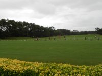 「練習場の写真１」