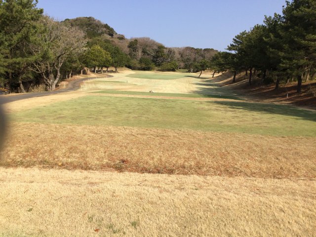 20150322｜伊豆下田