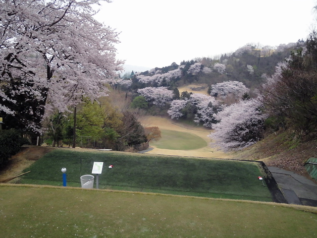 20110411｜伊勢原ＣＣ｜１番