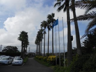 「コースフラッグの写真１」