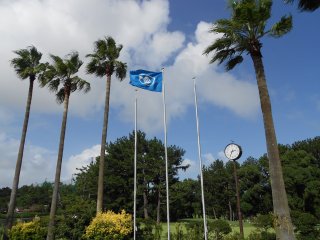 「コースフラッグの写真２」