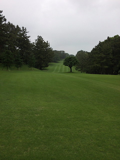 20140610｜スリーハンドレッドクラブ