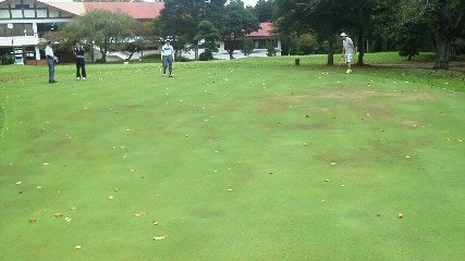 「練習グリーンの写真」