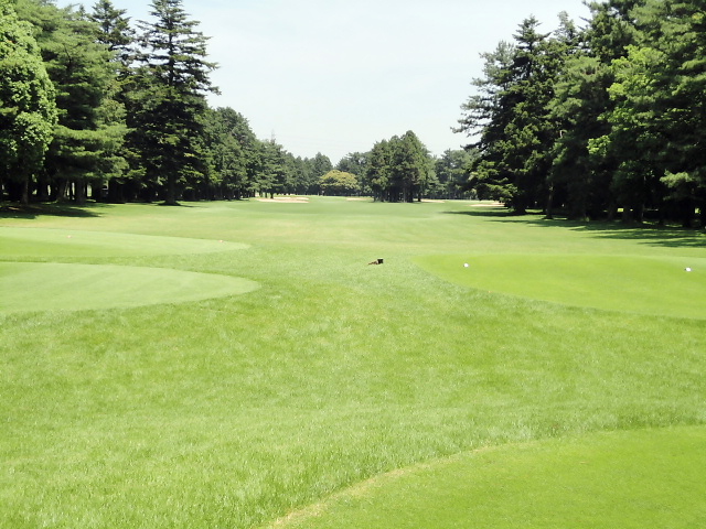 総武ＣＣ｜中１１番