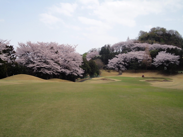 20110411｜伊勢原ＣＣ｜桜写真９