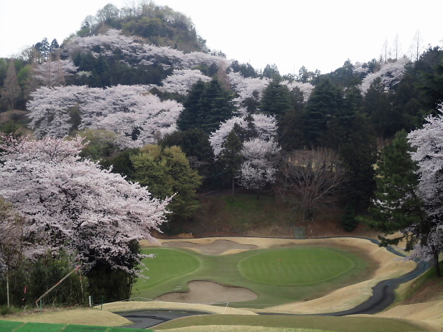 20110411｜伊勢原ＣＣ｜３番