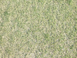 北投国華（ペイトウクォファ）カントリークラブ