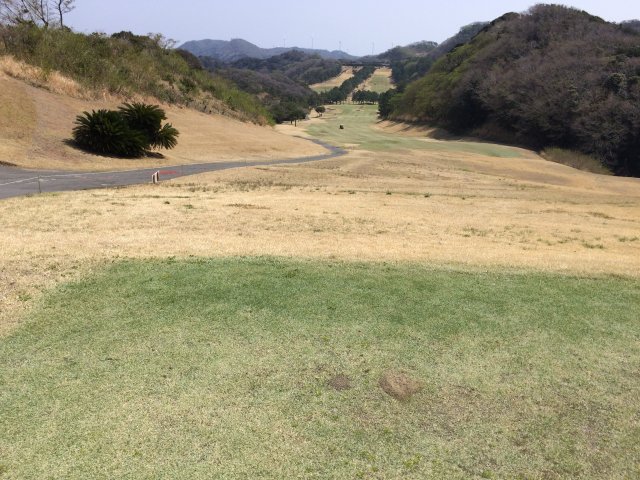 20150322｜伊豆下田