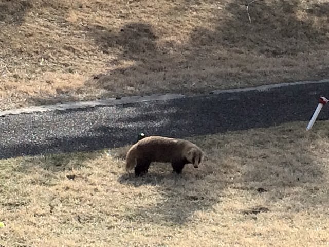 20150322｜伊豆下田