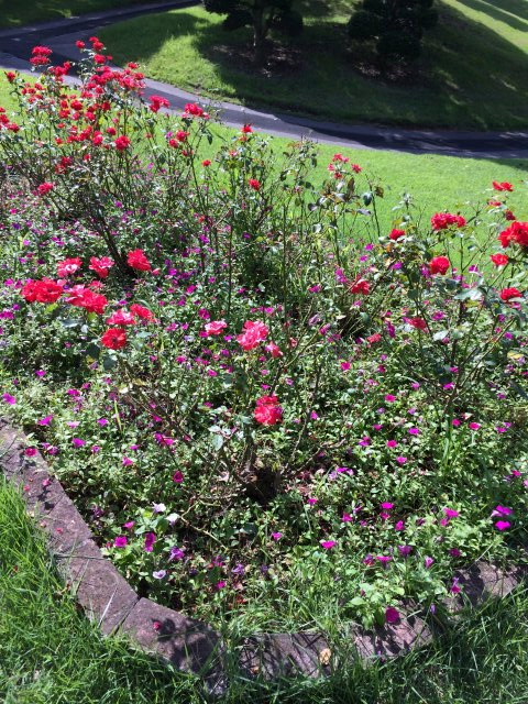 20140720｜グリッサンド