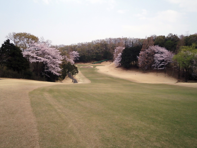 20110411｜伊勢原ＣＣ｜５番