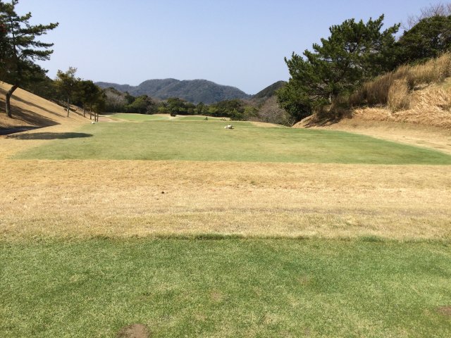 20150322｜伊豆下田