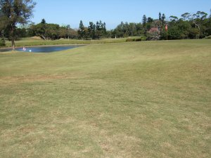 台湾ゴルフクラブ