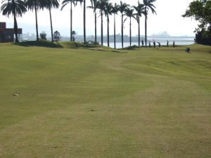 台湾ゴルフクラブ