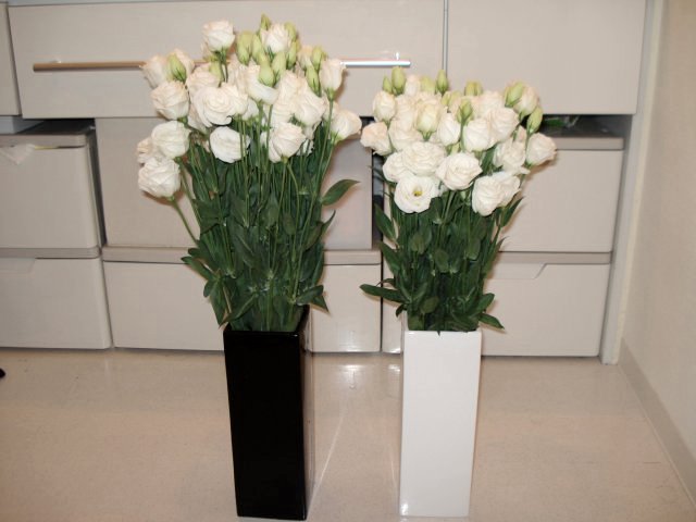 花屋のオッチャン