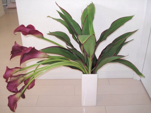 花屋のオッチャン