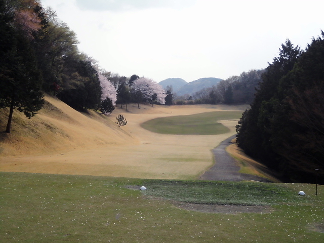 20110411｜伊勢原ＣＣ｜８番