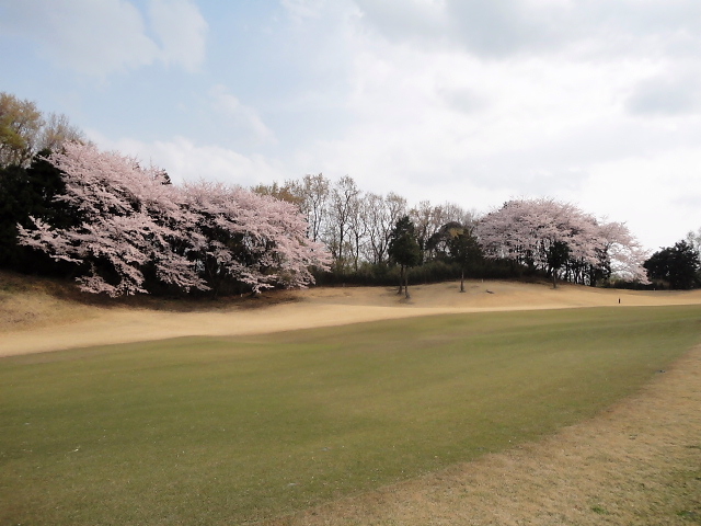 20110411｜伊勢原ＣＣ｜桜写真２５