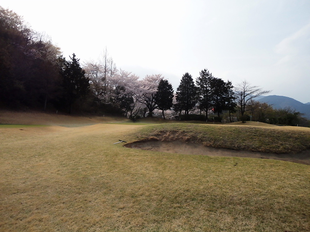 20110411｜伊勢原ＣＣ｜桜写真２６