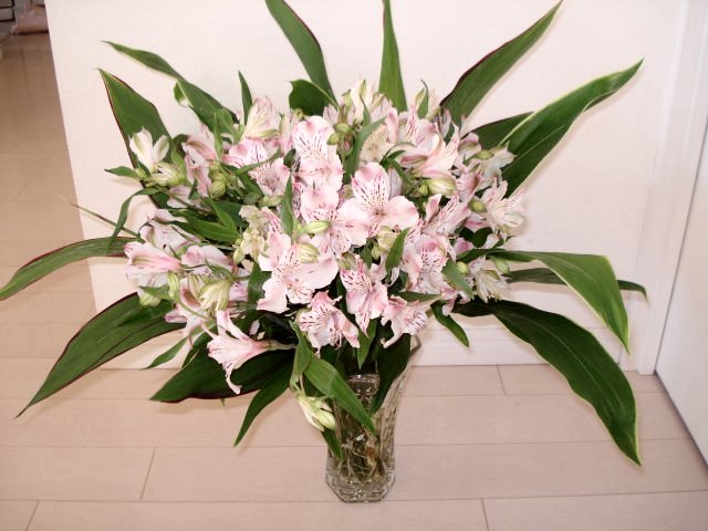 花屋のオッチャン