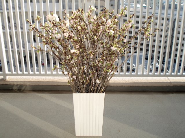 花屋のオッチャン