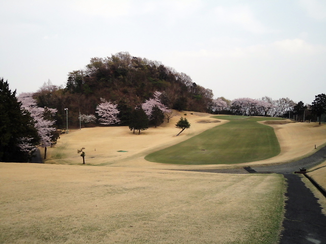 20110411｜伊勢原ＣＣ｜桜写真３３