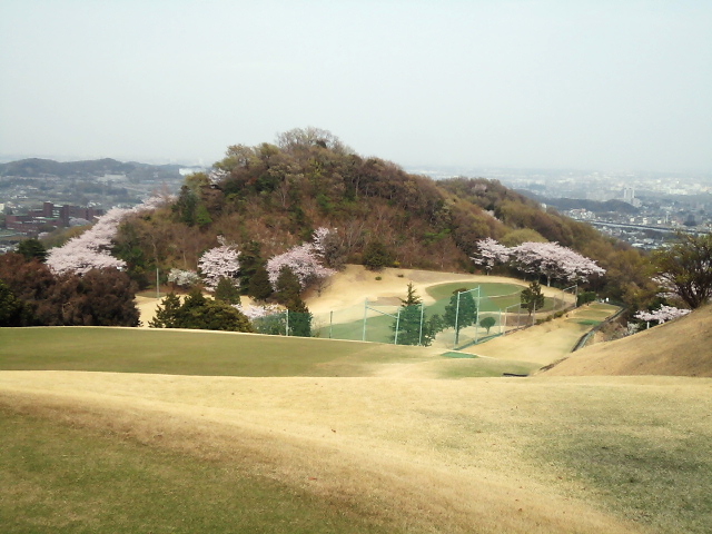20110411｜伊勢原ＣＣ｜桜写真３５