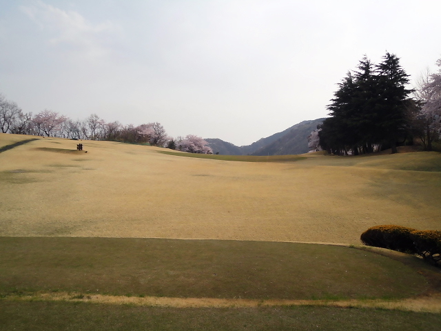 20110411｜伊勢原ＣＣ｜１３番