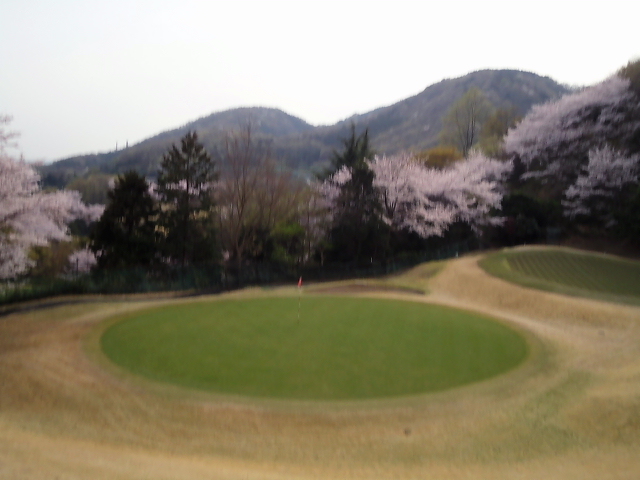 20110411｜伊勢原ＣＣ｜桜写真４２