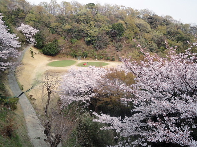 20110411｜伊勢原ＣＣ｜１４番