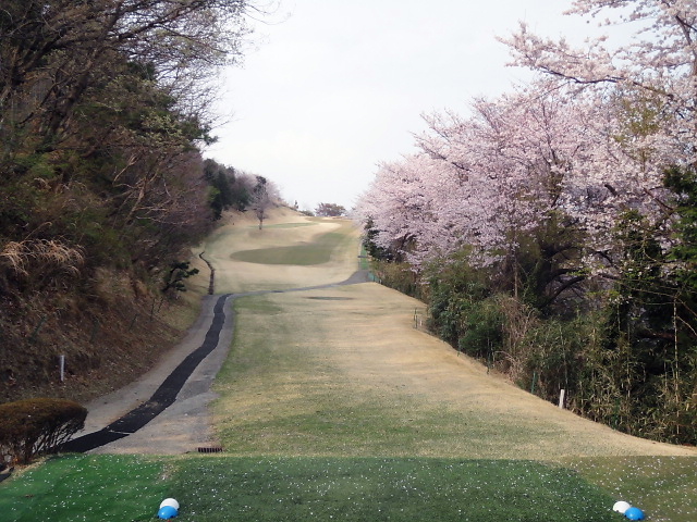 20110411｜伊勢原ＣＣ｜１６番