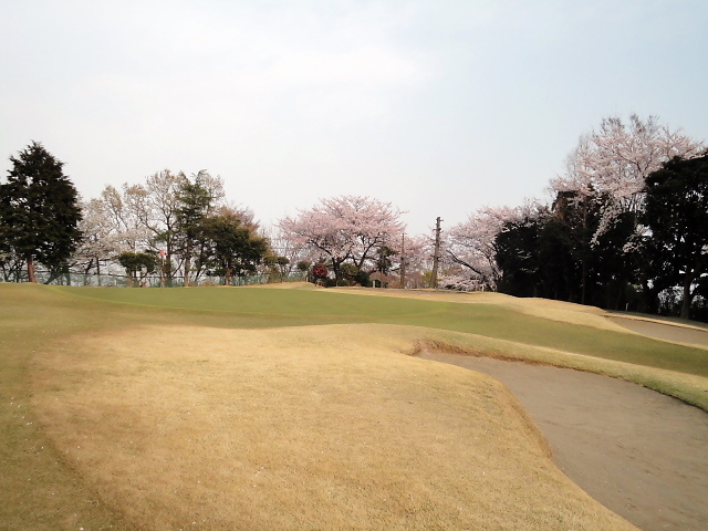 20110411｜伊勢原ＣＣ｜桜写真５２