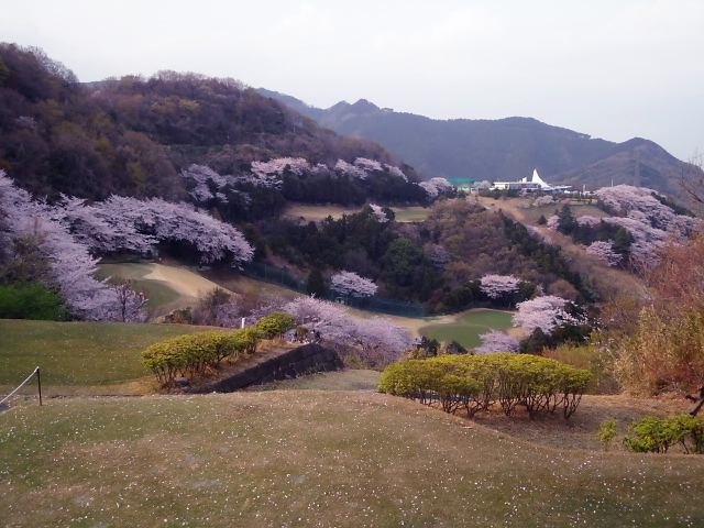 20110411｜伊勢原ＣＣ｜１７番