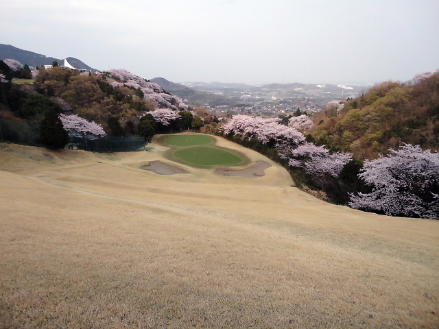 20110411｜伊勢原ＣＣ｜桜写真５５