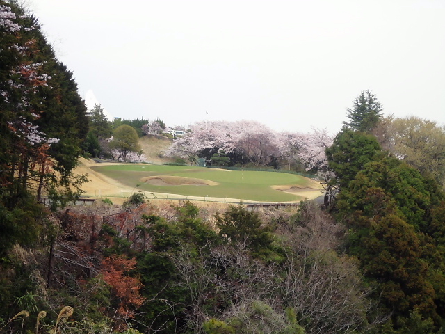 20110411｜伊勢原ＣＣ｜１８番