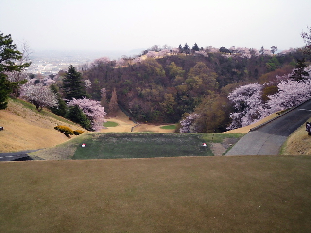20110411｜伊勢原ＣＣ｜桜写真５７