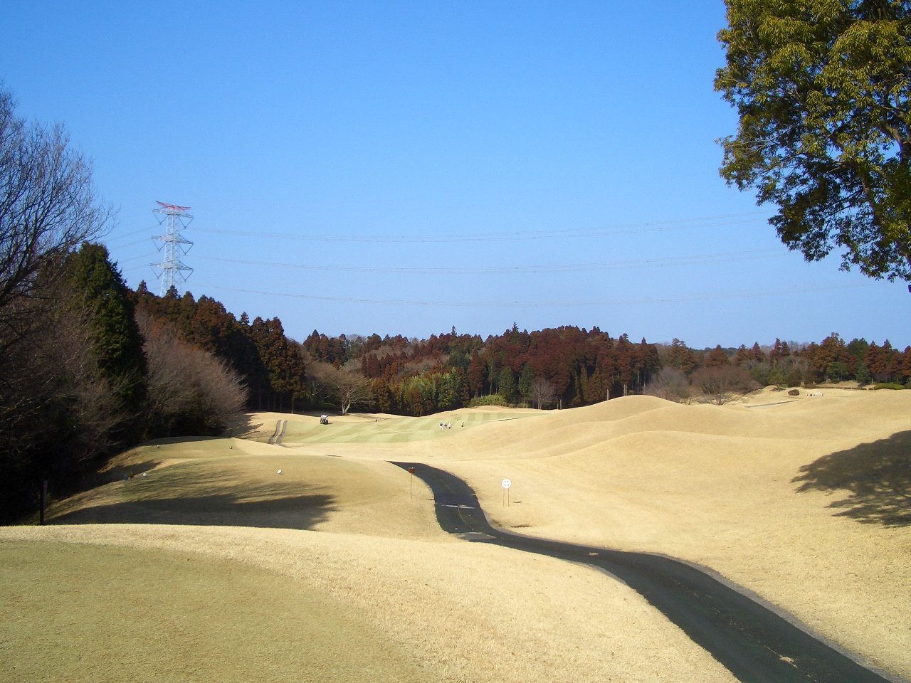 20110226|きみさらずゴルフリンクス