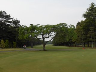 総武カントリー（東・中）｜コース写真２