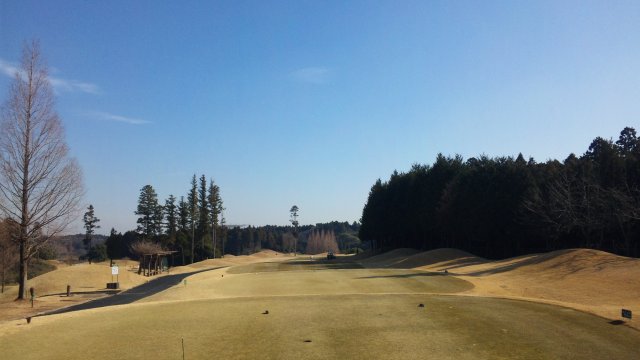 20110109|京カントリークラブ