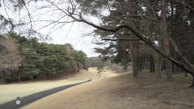 20110403|江戸崎ＣＣ｜コース写真２