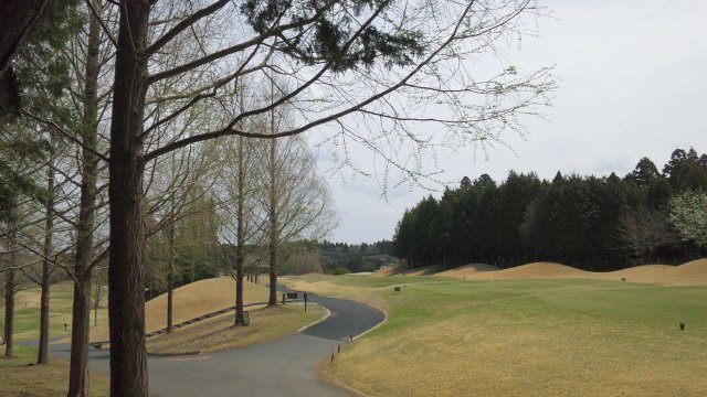 20110416|京ＣＣ｜コース写真３