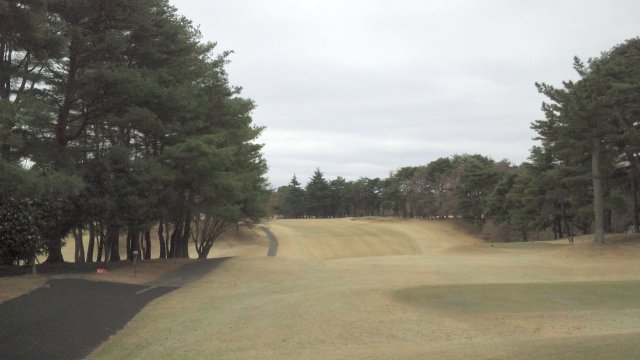 20110403|江戸崎ＣＣ｜コース写真３